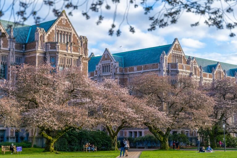University of Washington Fully Funded Scholarship 2027